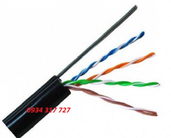 Cáp mạng Dintek Cat5e treo ngoài trời (1101-03011A)